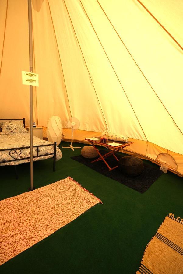 Camping Arbre de Vie Montagnac  Buitenkant foto