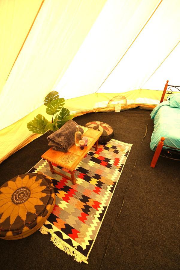 Camping Arbre de Vie Montagnac  Buitenkant foto